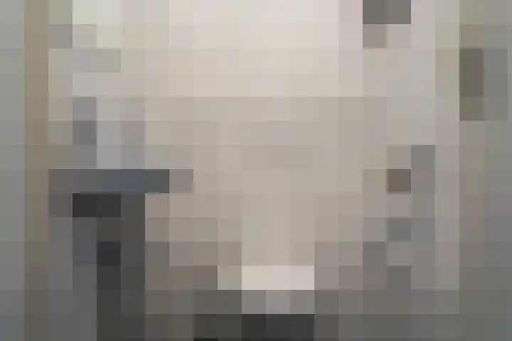 Struuckweg 20 de Wijk thumbnail 18