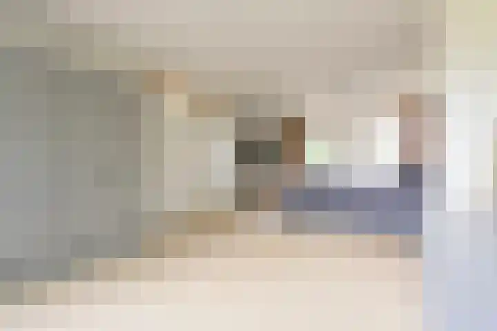 Struuckweg 20 de Wijk thumbnail 21