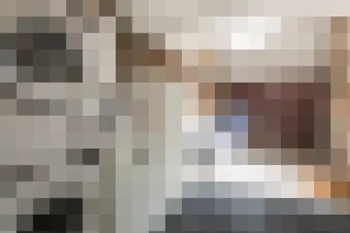 Struuckweg 20 de Wijk thumbnail 31