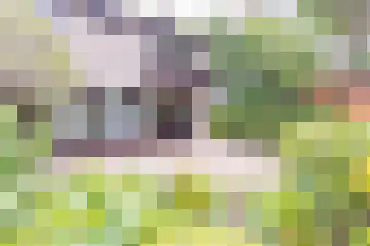 Struuckweg 20 de Wijk thumbnail 33