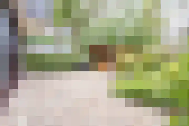 Struuckweg 20 de Wijk thumbnail 34