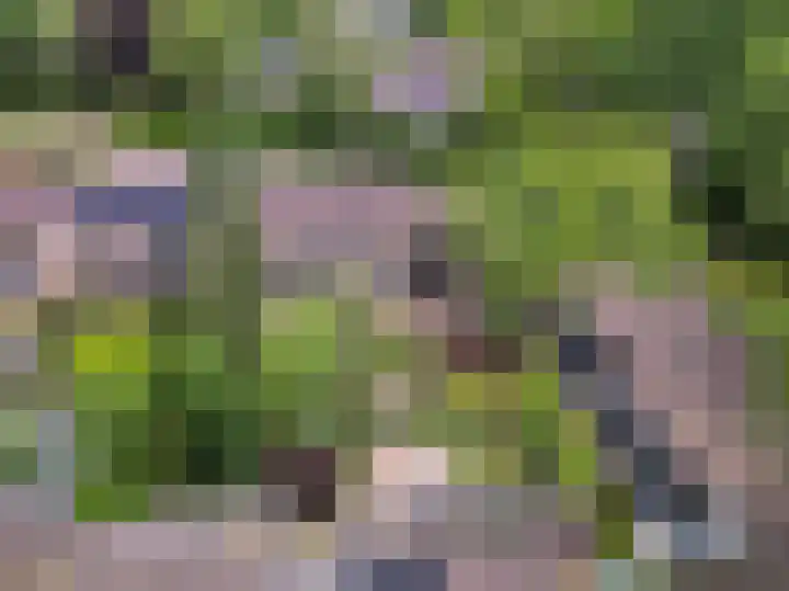 Struuckweg 20 de Wijk thumbnail 39