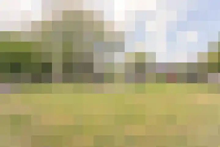 Struuckweg 20 de Wijk thumbnail 42