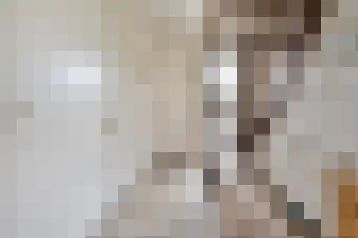 Struuckweg 8 de Wijk thumbnail 10