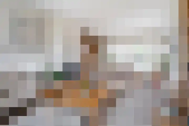 Struuckweg 8 de Wijk thumbnail 13