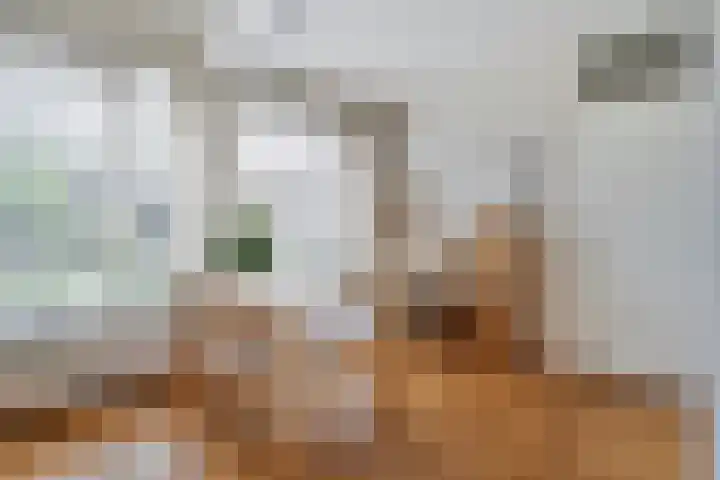 Struuckweg 8 de Wijk thumbnail 16