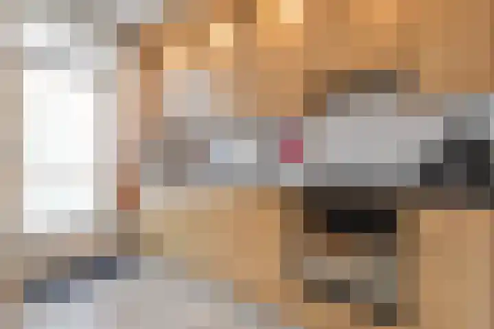Struuckweg 8 de Wijk thumbnail 19