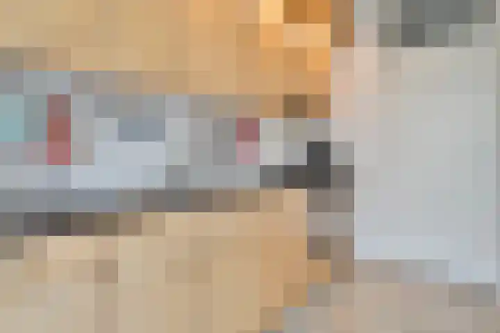 Struuckweg 8 de Wijk thumbnail 20