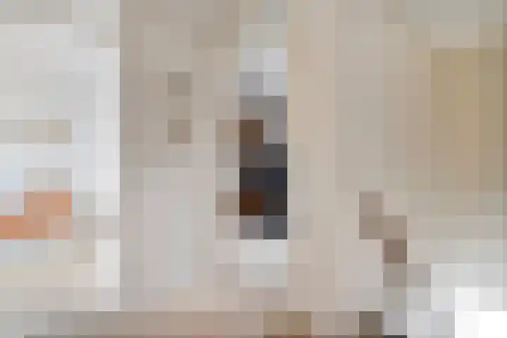 Struuckweg 8 de Wijk thumbnail 22