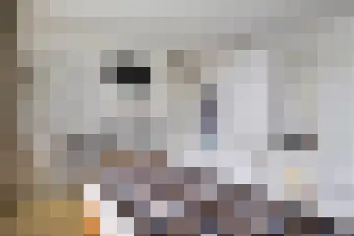 Struuckweg 8 de Wijk thumbnail 29