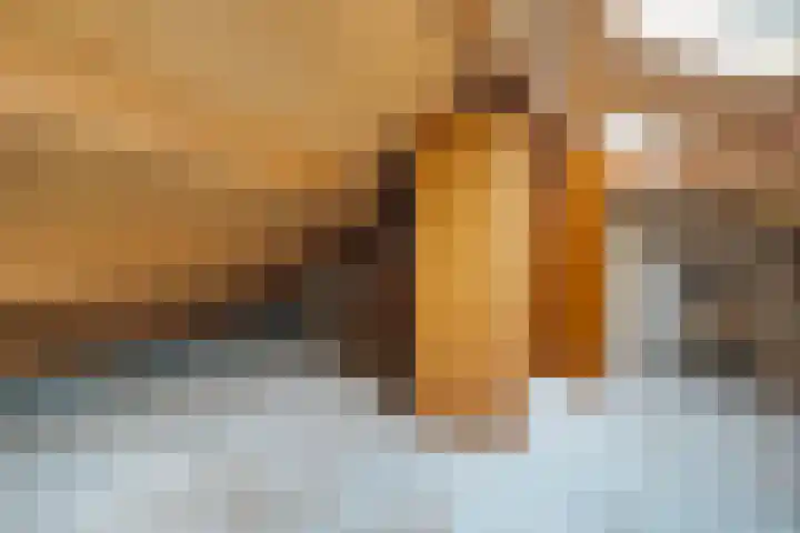 Struuckweg 8 de Wijk thumbnail 33