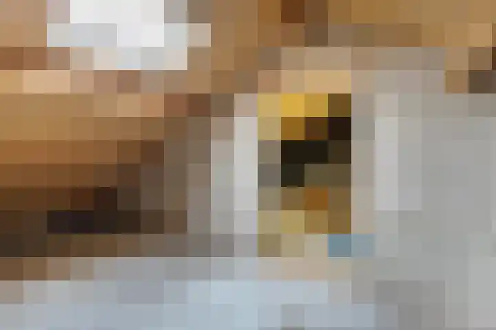 Struuckweg 8 de Wijk thumbnail 34