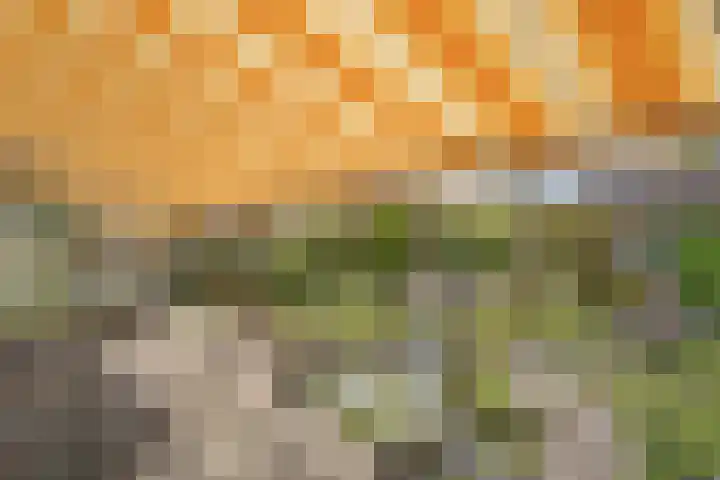 Struuckweg 8 de Wijk thumbnail 36