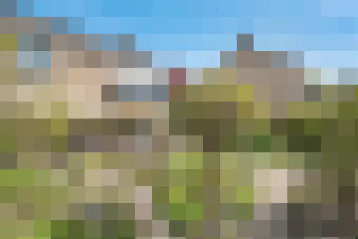 Struuckweg 8 de Wijk thumbnail 37