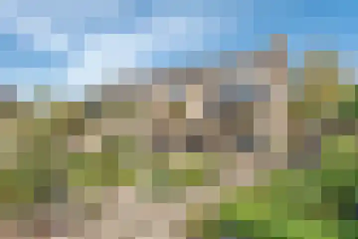 Struuckweg 8 de Wijk thumbnail 39