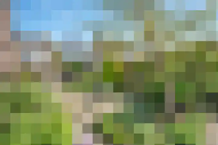 Struuckweg 8 de Wijk thumbnail 41