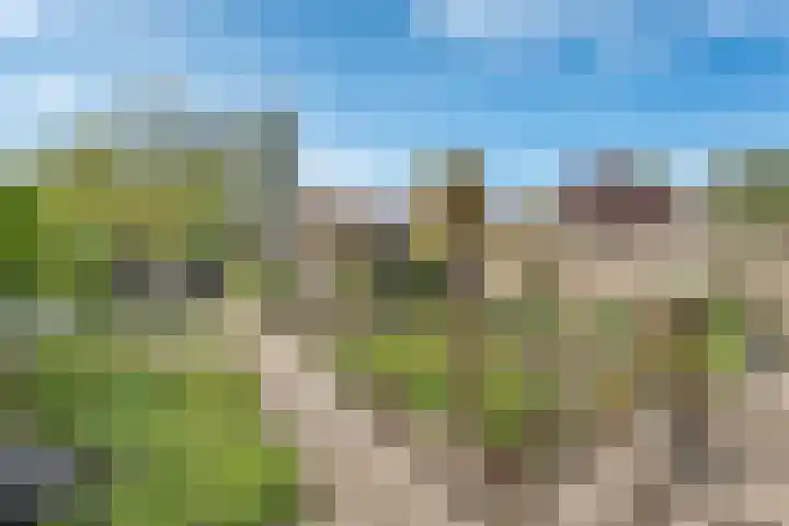 Struuckweg 8 de Wijk thumbnail 7