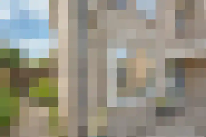 Struuckweg 8 de Wijk thumbnail 8