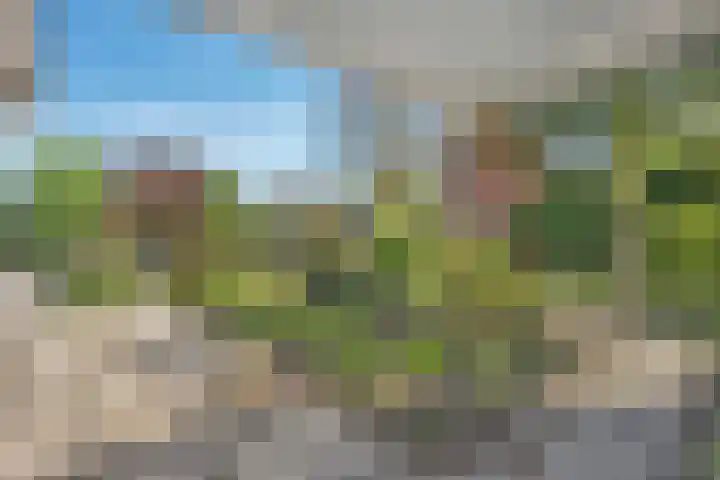 Struuckweg 8 de Wijk thumbnail 9