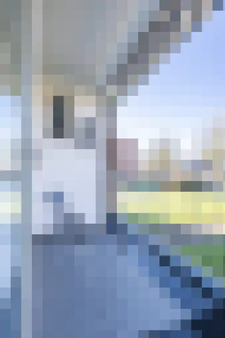 Struverstraat 52 Kerkrade thumbnail 22