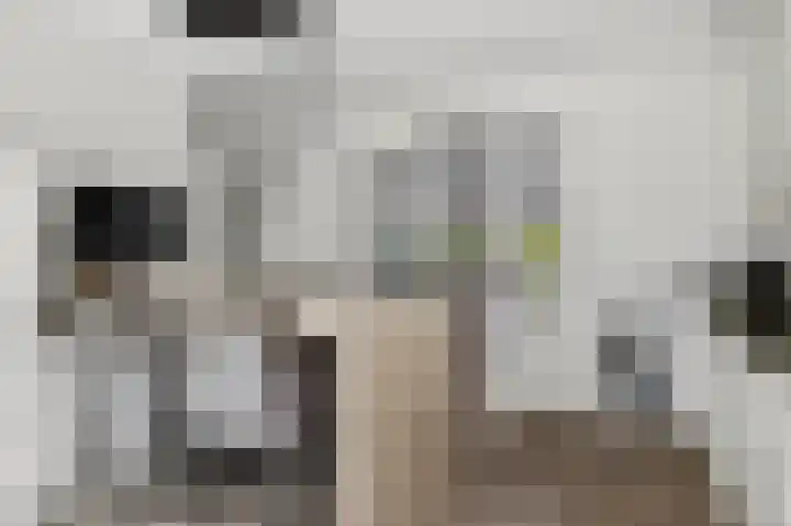 Struweel 30 Hendrik-Ido-Ambacht thumbnail 16