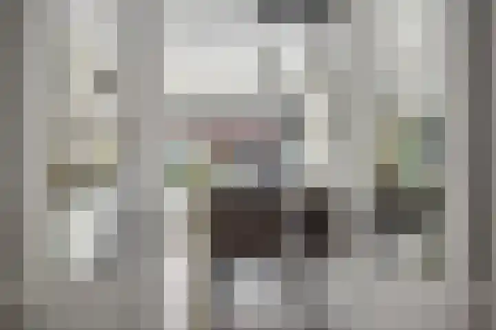 Struweel 30 Hendrik-Ido-Ambacht thumbnail 19