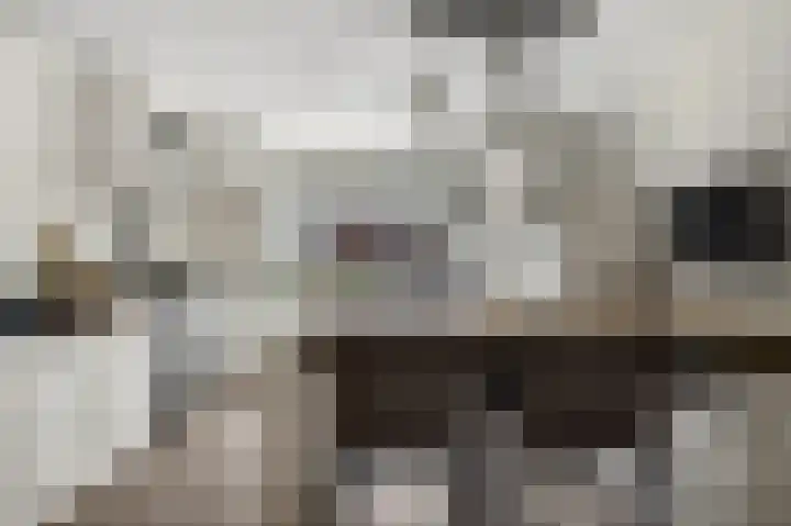 Struweel 30 Hendrik-Ido-Ambacht thumbnail 24