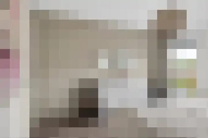 Struweel 30 Hendrik-Ido-Ambacht thumbnail 30