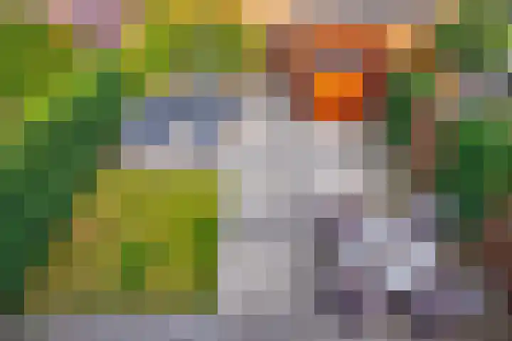Struweel 30 Hendrik-Ido-Ambacht thumbnail 33