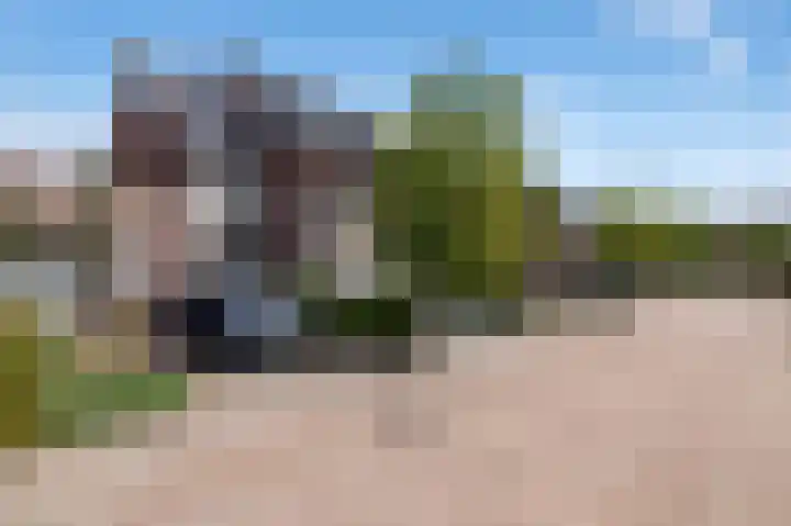 Struweel 30 Hendrik-Ido-Ambacht thumbnail 4