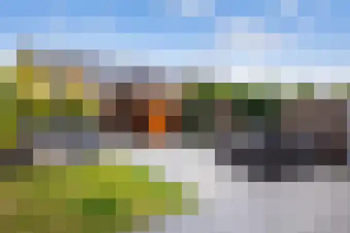 Struweel 30 Hendrik-Ido-Ambacht thumbnail 41