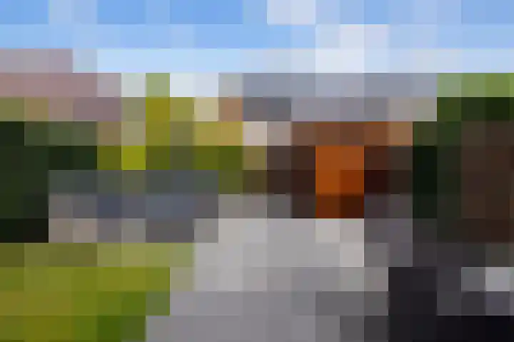 Struweel 30 Hendrik-Ido-Ambacht thumbnail 42