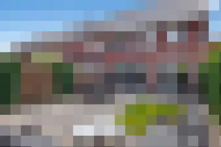 Struweel 30 Hendrik-Ido-Ambacht thumbnail 45