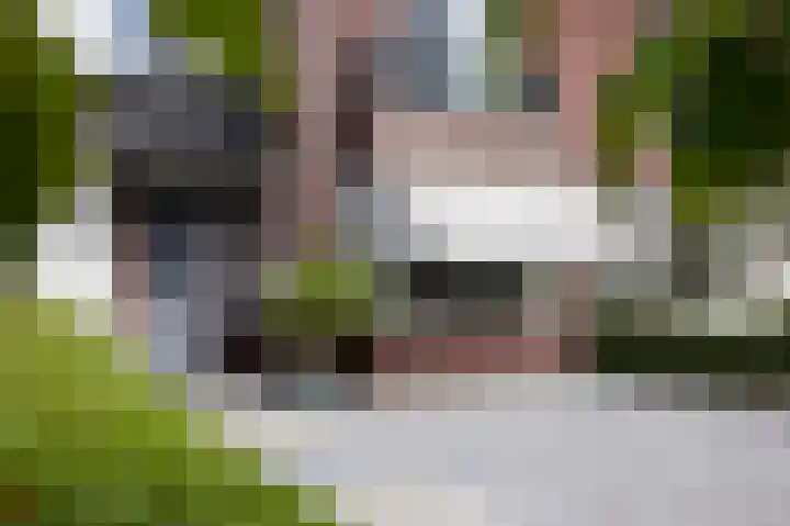 Struweel 30 Hendrik-Ido-Ambacht thumbnail 5