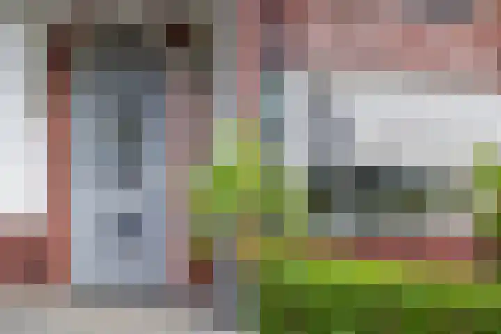 Struweel 30 Hendrik-Ido-Ambacht thumbnail 6