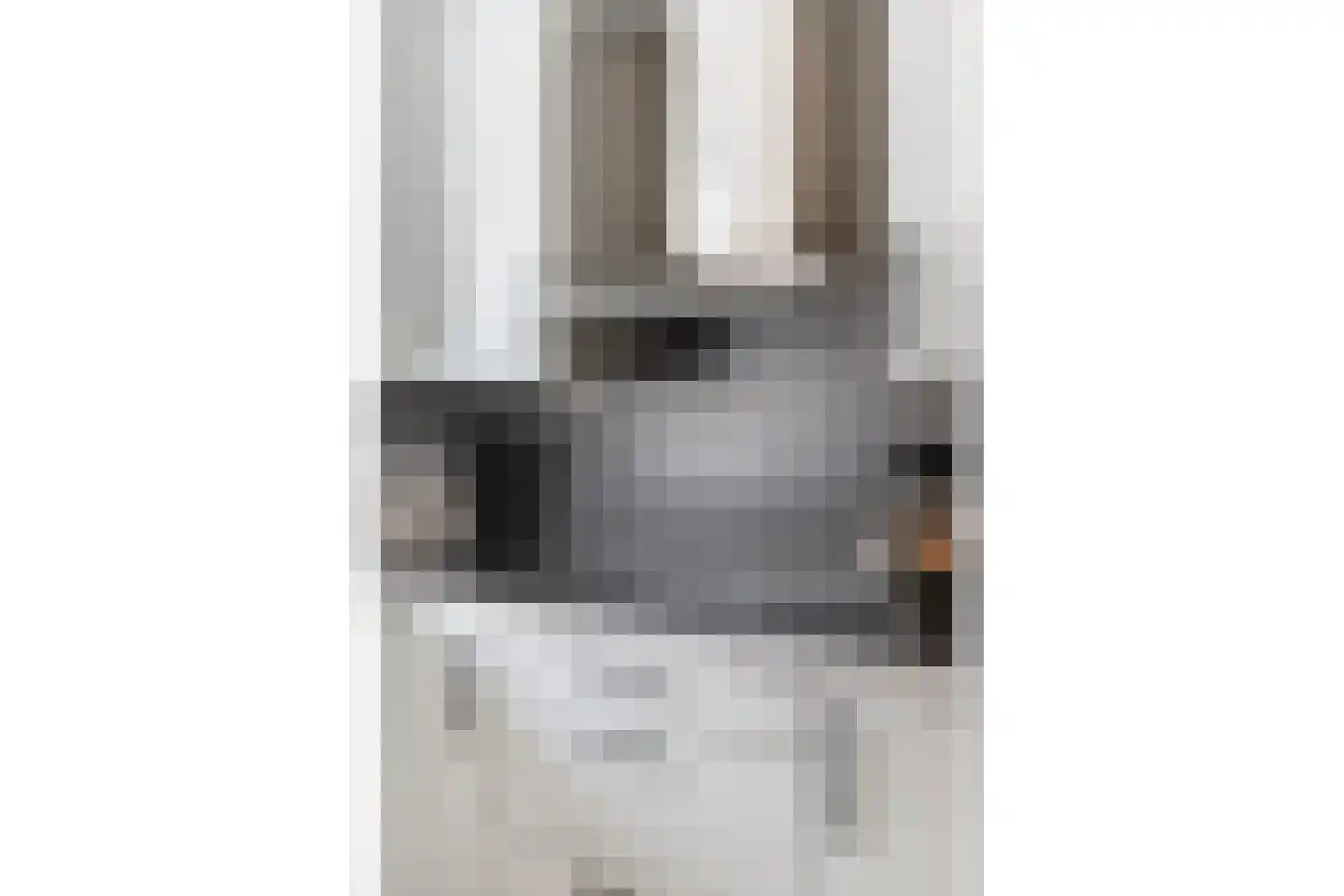 Struweelstraat 3 Zwolle thumbnail 11