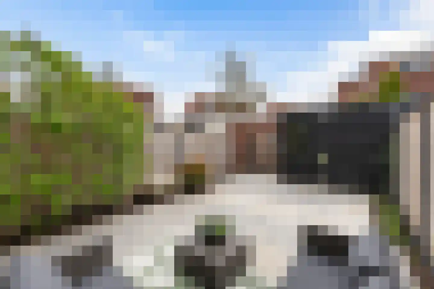 Struweelstraat 3 Zwolle thumbnail 12