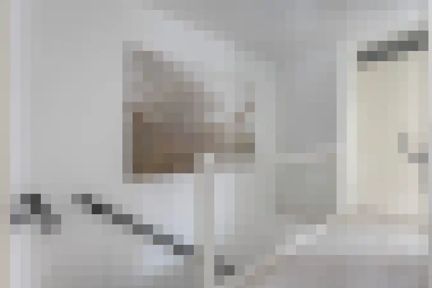 Struweelstraat 3 Zwolle thumbnail 19