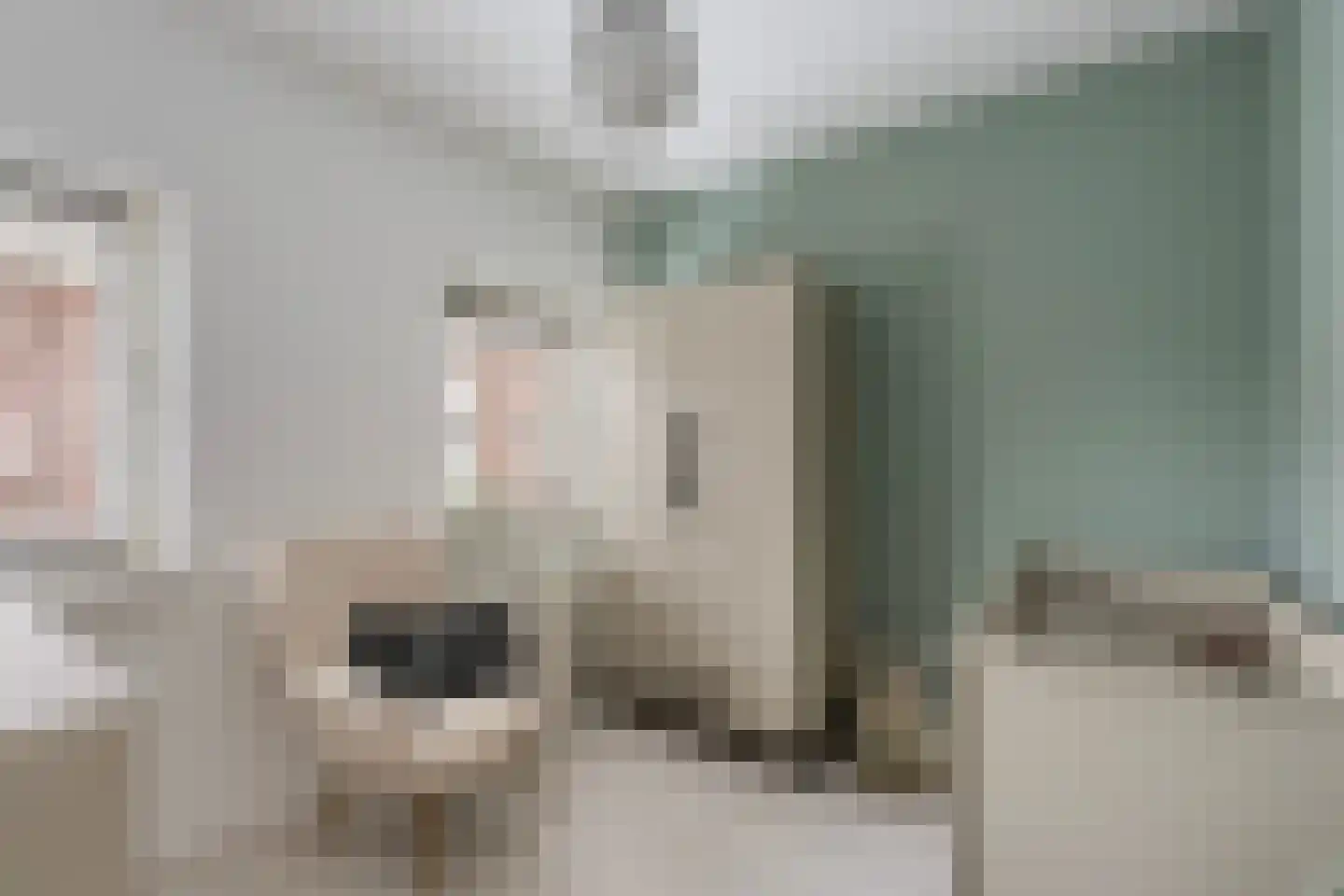 Struweelstraat 3 Zwolle thumbnail 22