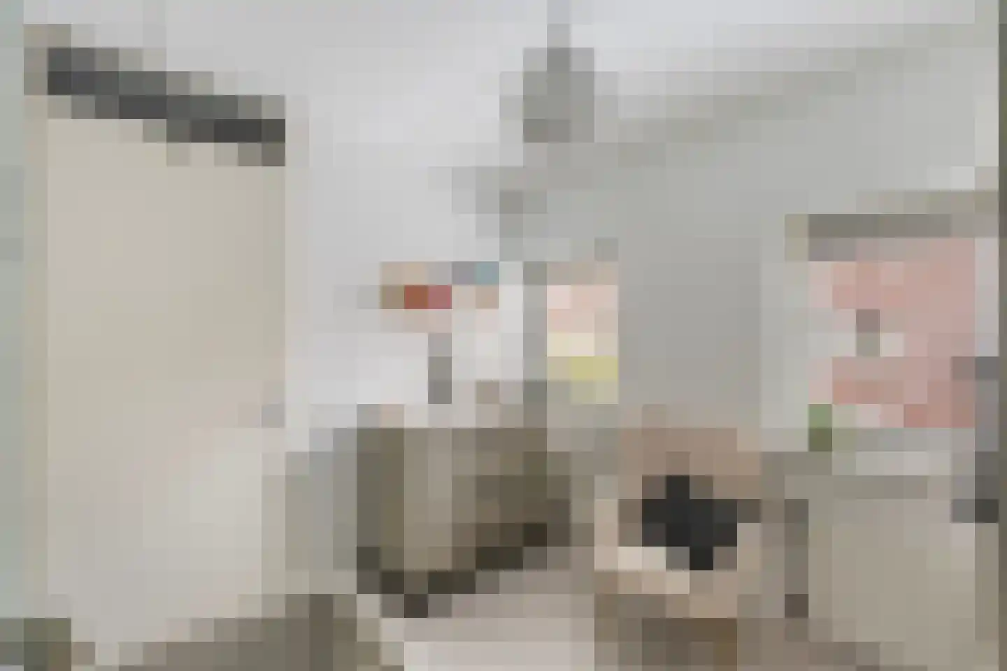 Struweelstraat 3 Zwolle thumbnail 23