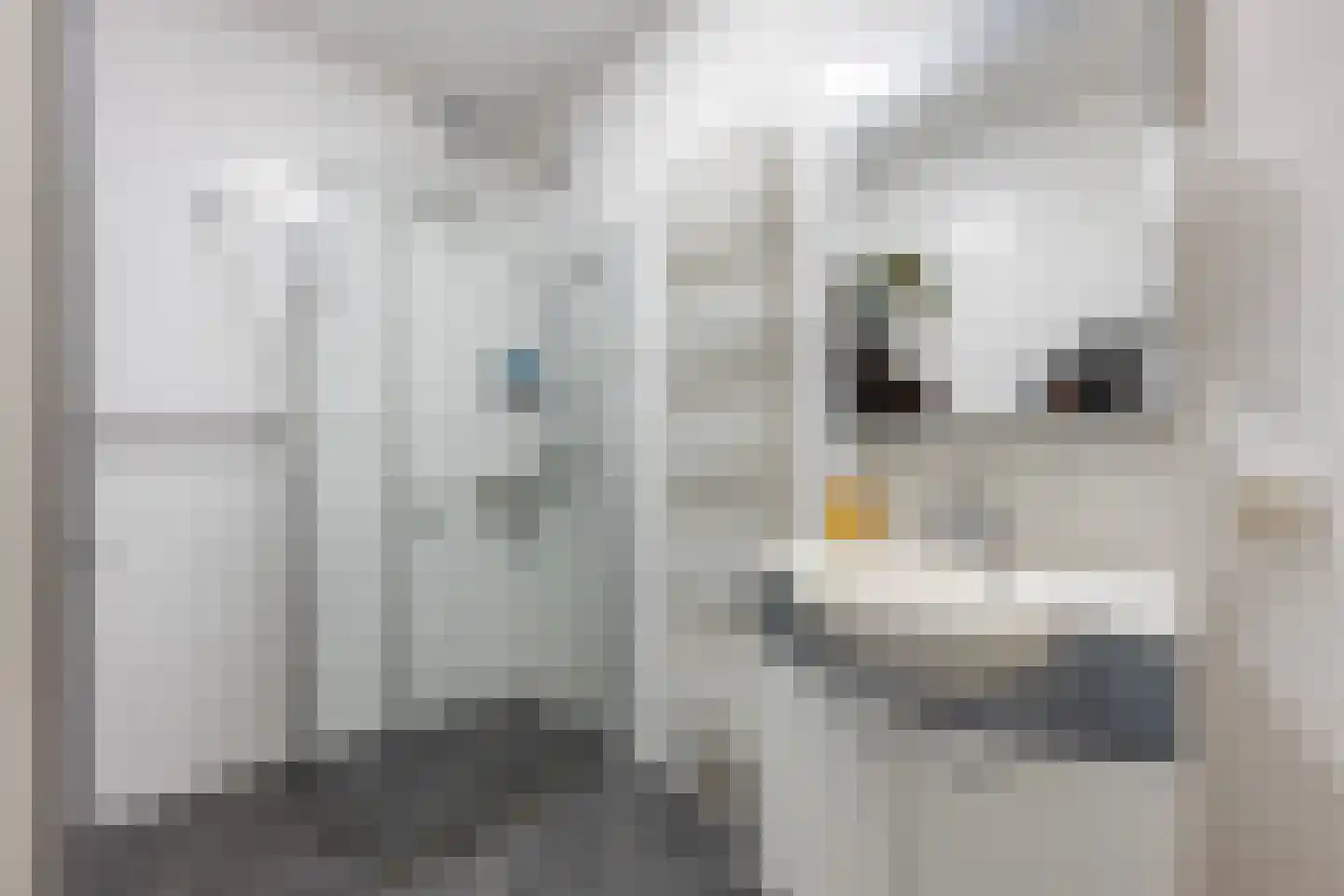 Struweelstraat 3 Zwolle thumbnail 26