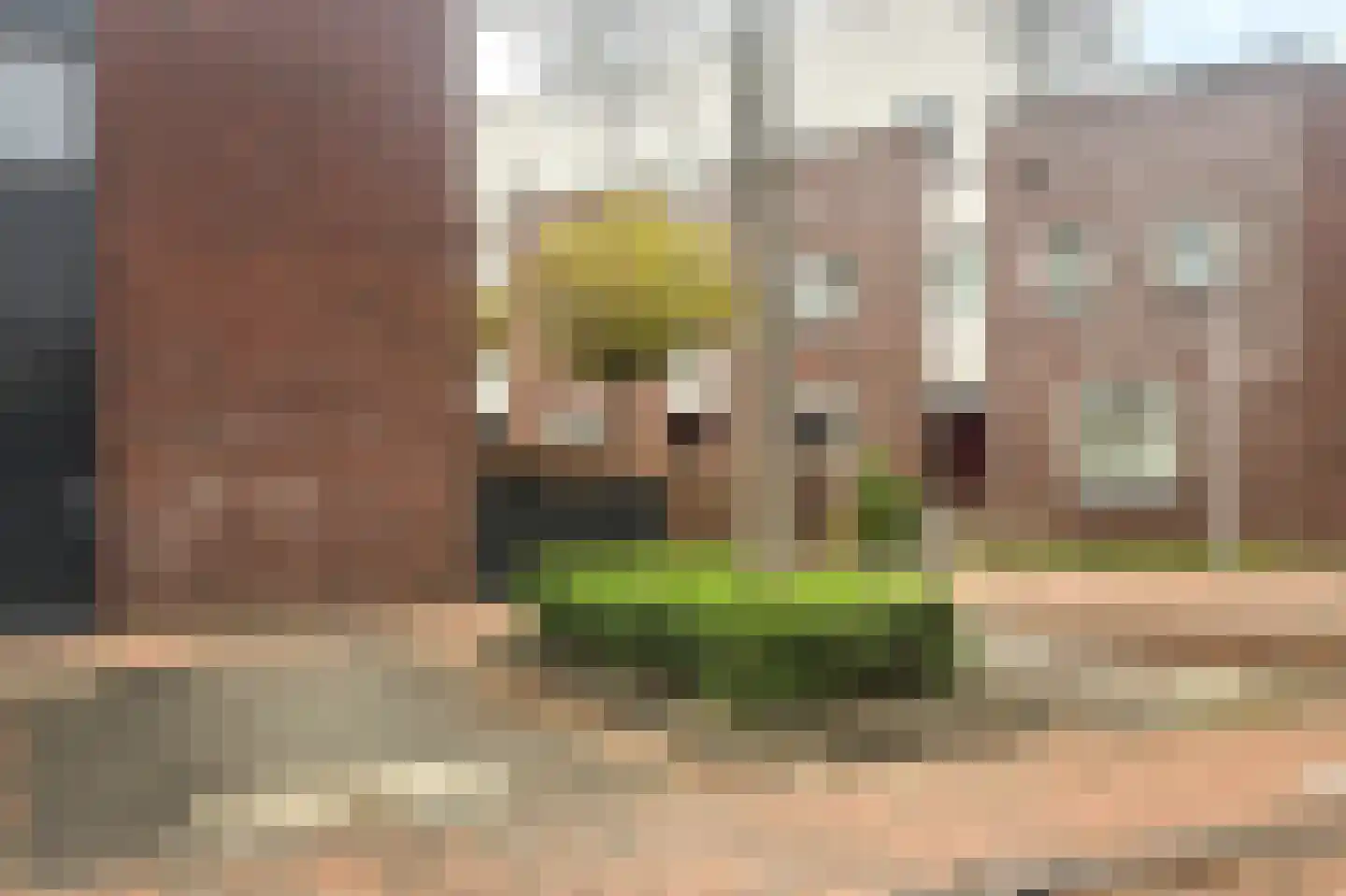 Struweelstraat 3 Zwolle thumbnail 29
