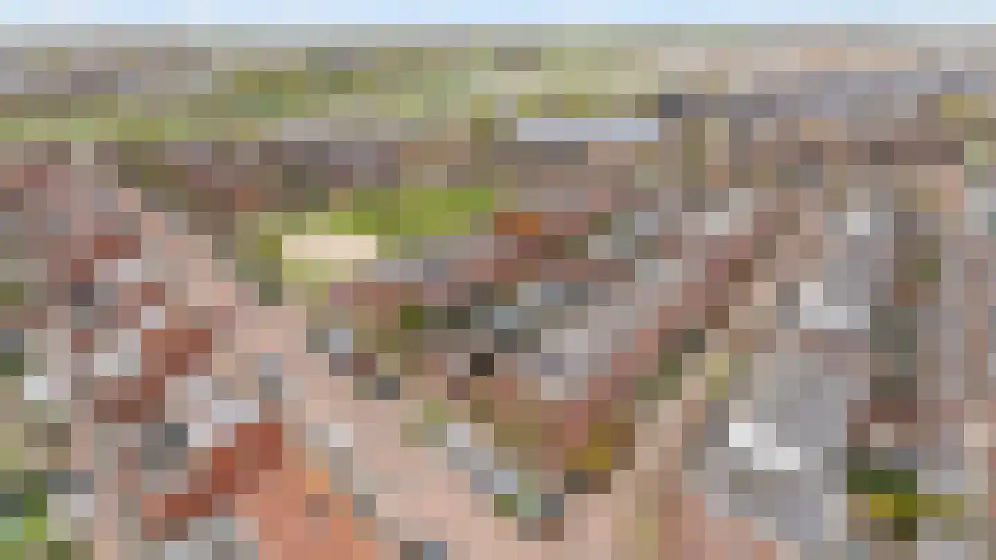 Struweelstraat 3 Zwolle thumbnail 32