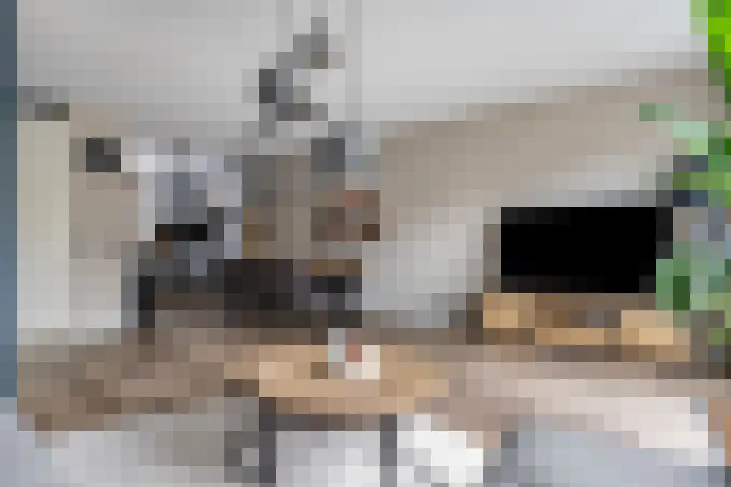 Struweelstraat 3 Zwolle thumbnail 4