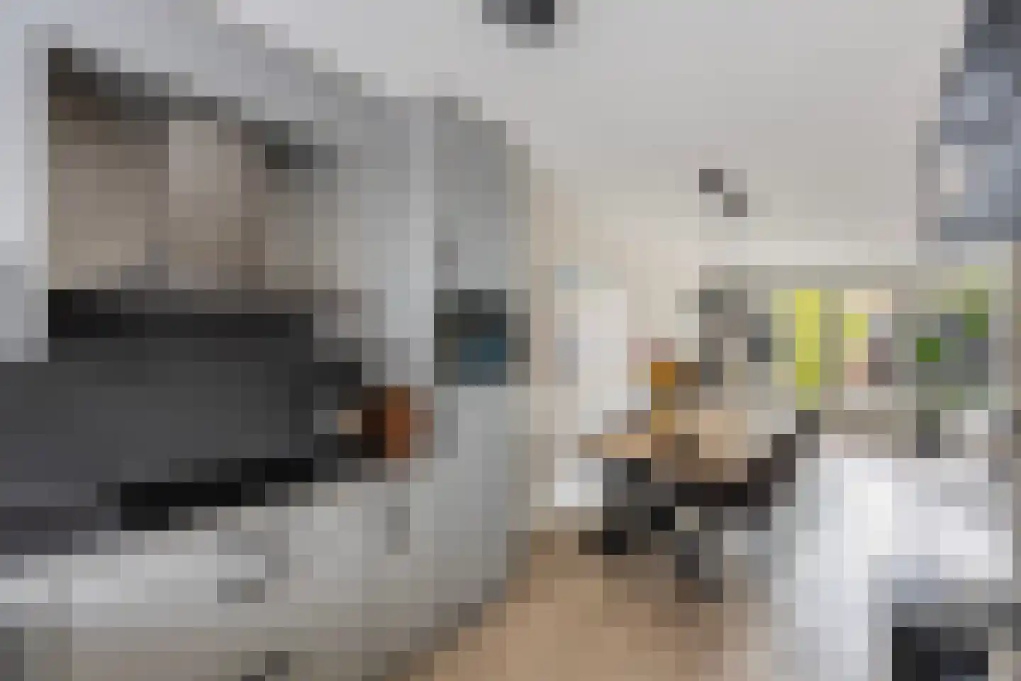 Struweelstraat 3 Zwolle thumbnail 9