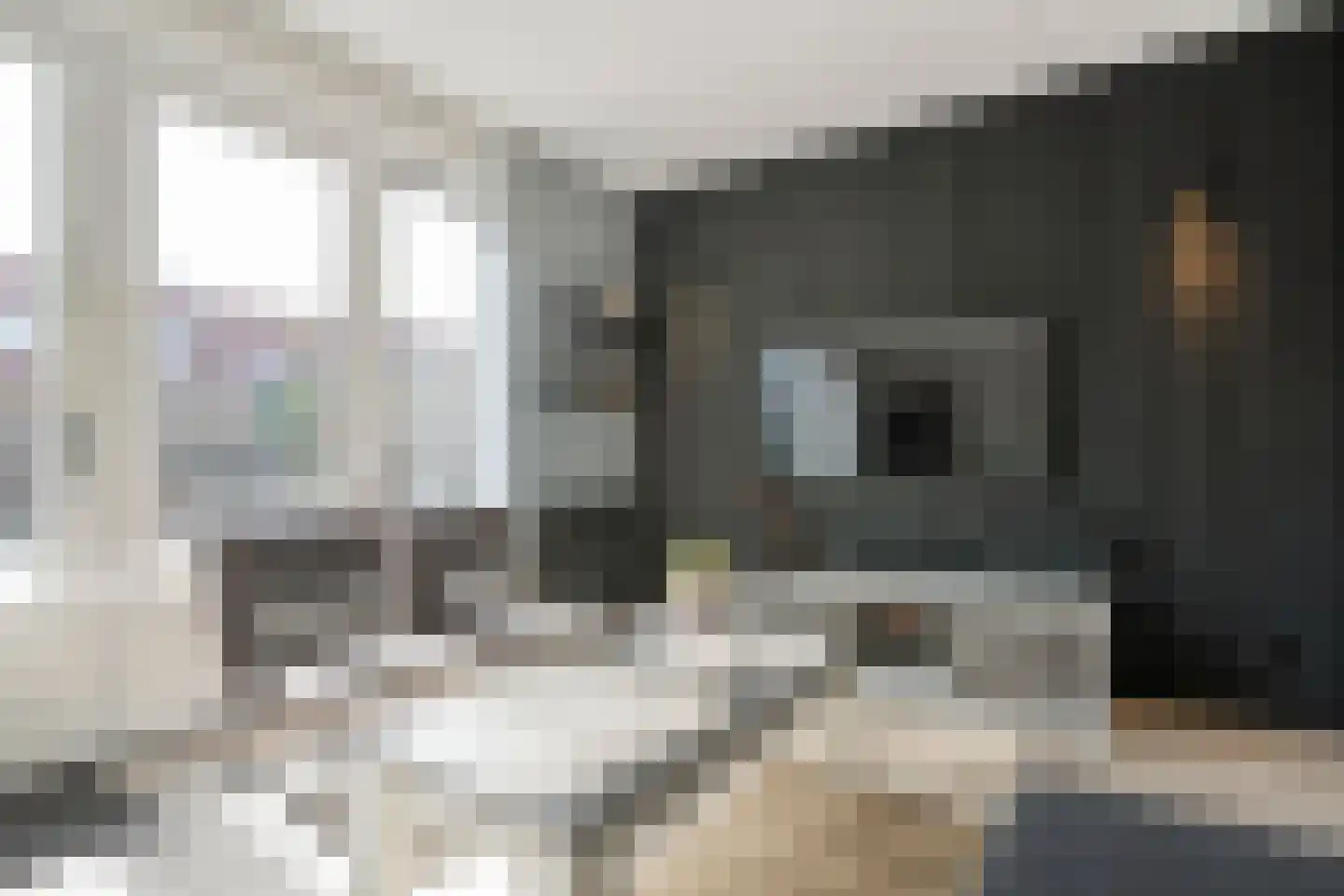 Struweelstraat 9 Zwolle thumbnail 11