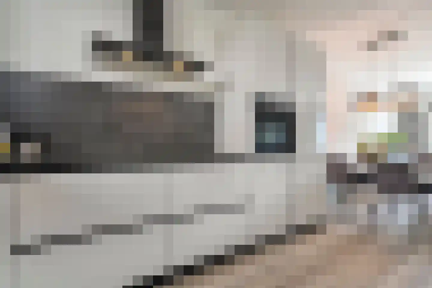 Struweelstraat 9 Zwolle thumbnail 15