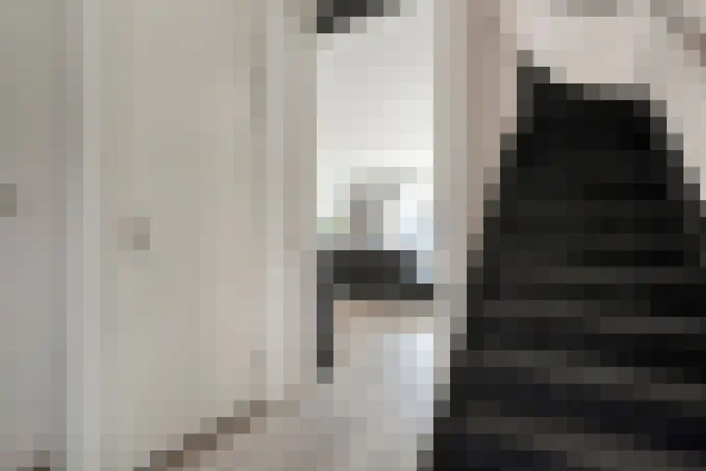 Struweelstraat 9 Zwolle thumbnail 21