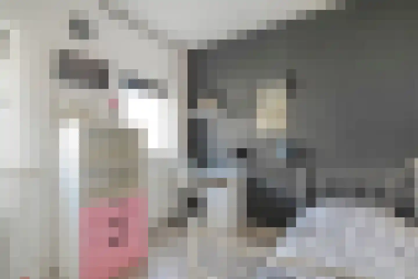 Struweelstraat 9 Zwolle thumbnail 24