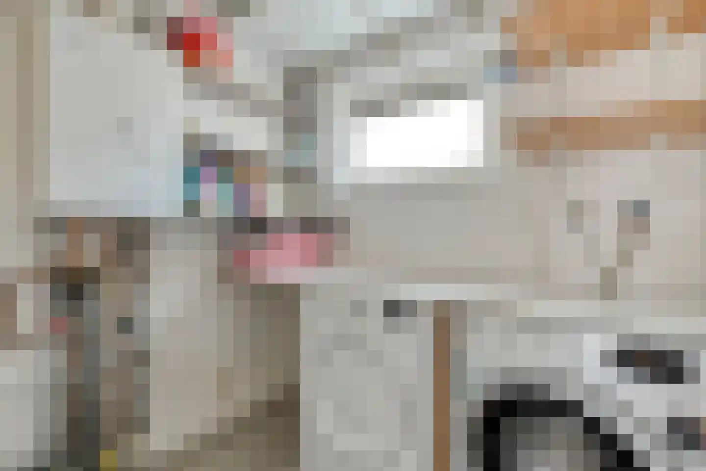 Struweelstraat 9 Zwolle thumbnail 30